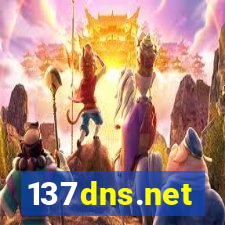 137dns.net