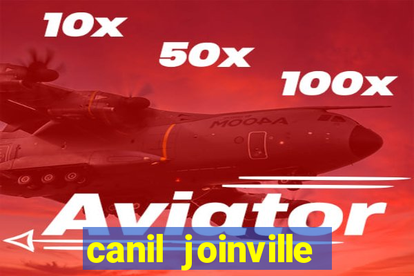 canil joinville vila nova