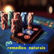 remedios naturais para diabetes