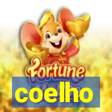 coelho-ty.com