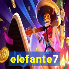 elefante7