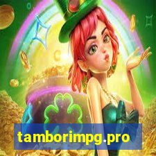 tamborimpg.pro