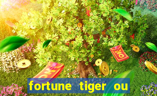 fortune tiger ou fortune ox